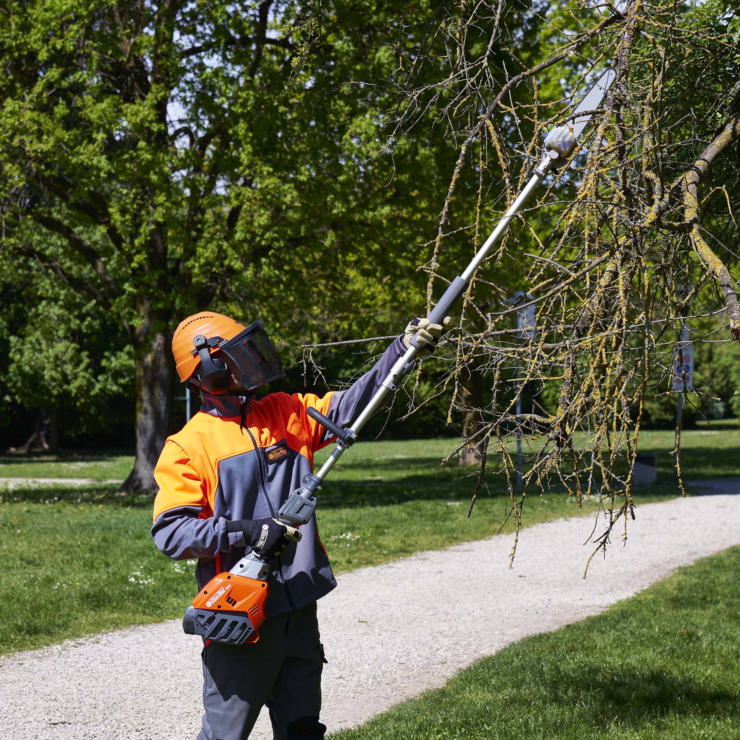 Débroussailleuse multifonctions - Outil élagueuse BCi 530 D - Image 3